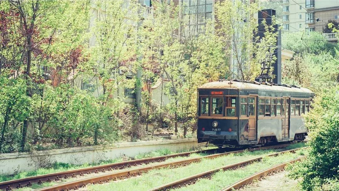 大连绝美海岛旅游攻略路线,七月去大连哪个海岛旅游好