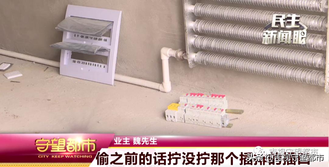 吉森·漫桦林：下房两年后验房，结果电线竟然丢了？