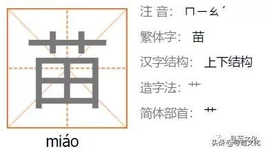 苗的姓氏文化,百家姓苗字书写方法