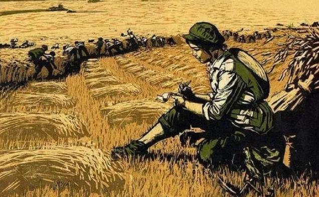 北大荒的兵团现在怎样了,北大荒现在啥样