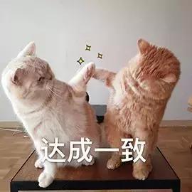 一针治百种病症 (一针治100种病症)