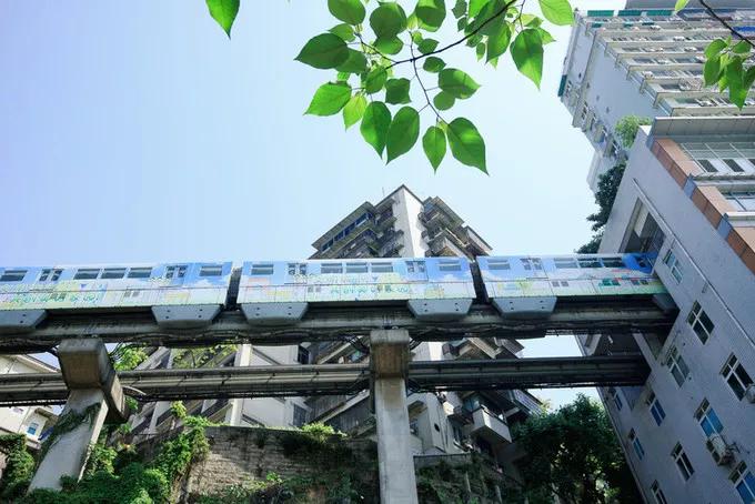 璁╃櫨搴︽棤璇殑闂,璁╃櫨搴﹀穿婧冪殑鐬棿