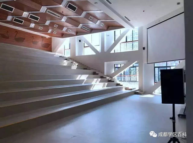 成都高新大源学校初中排名,高新区大源片区学校排名