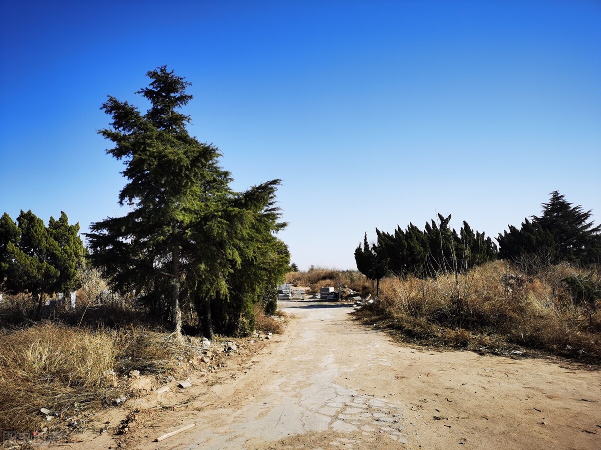 楚霸王不肯过乌江成语,和楚霸王有关的成语