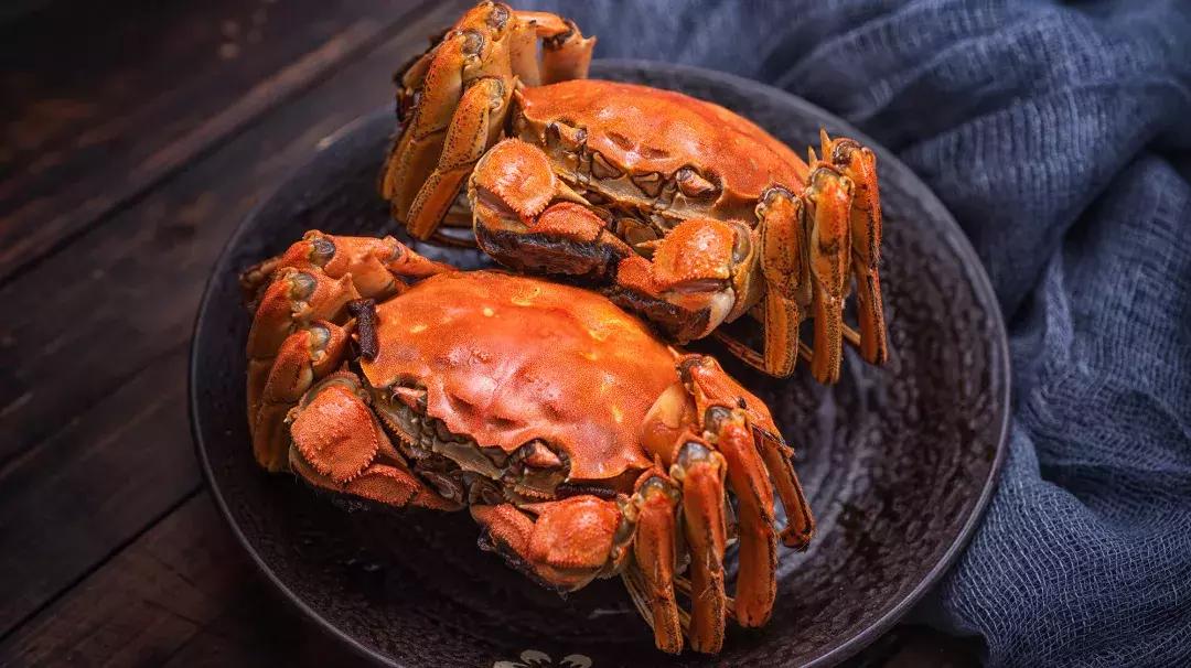 上海治愈系酒店,江浙森系治愈酒店