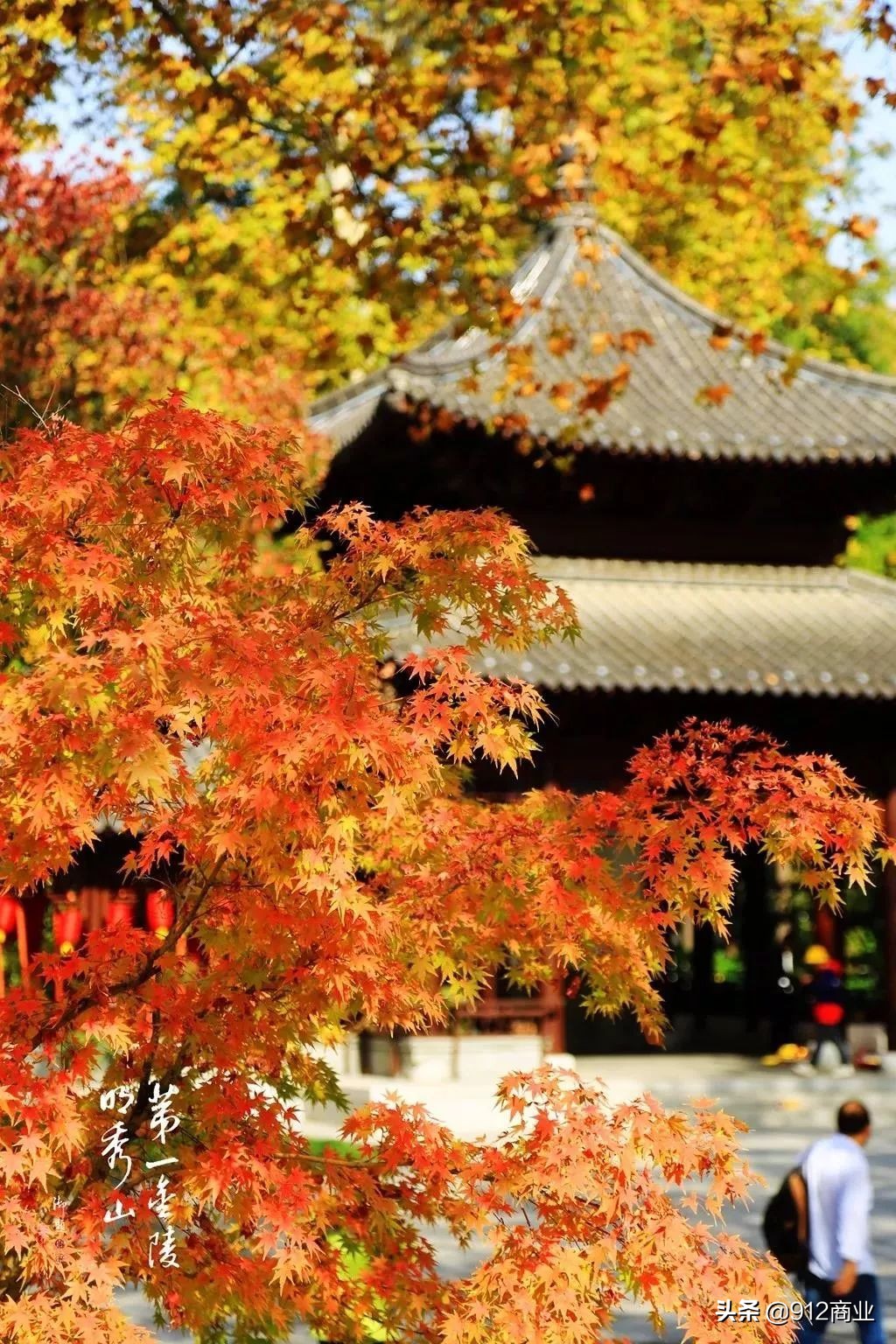 南京本地人冷知识,南京哪个区域是核心区