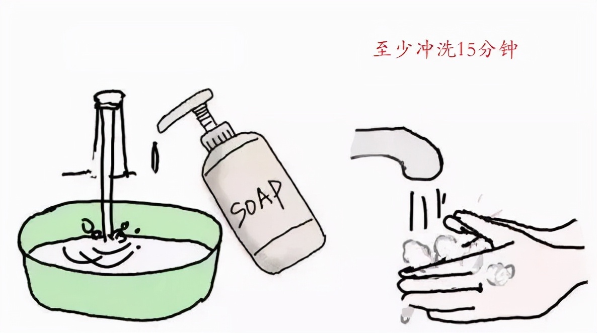 每日小科普小知识,中央电视台狂犬病科普