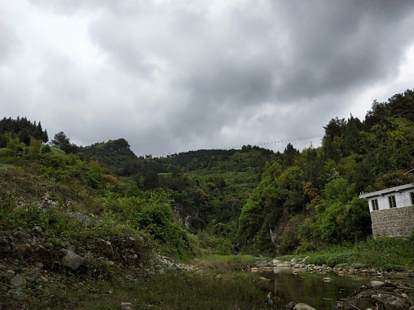 何氏始祖后裔,何氏得姓始祖