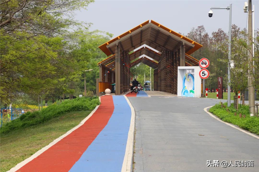 太湖骑行步道,无锡太湖骑行绿道