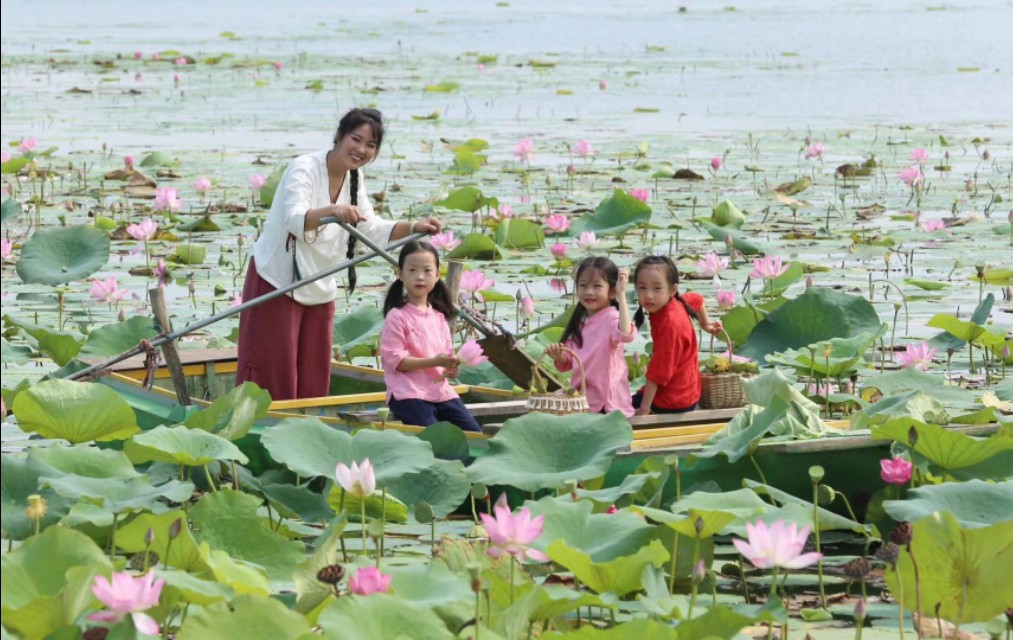 衡水湖有多美丽,七月衡水湖