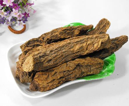 草本锁阳中草药图片,锁阳草的十大功效