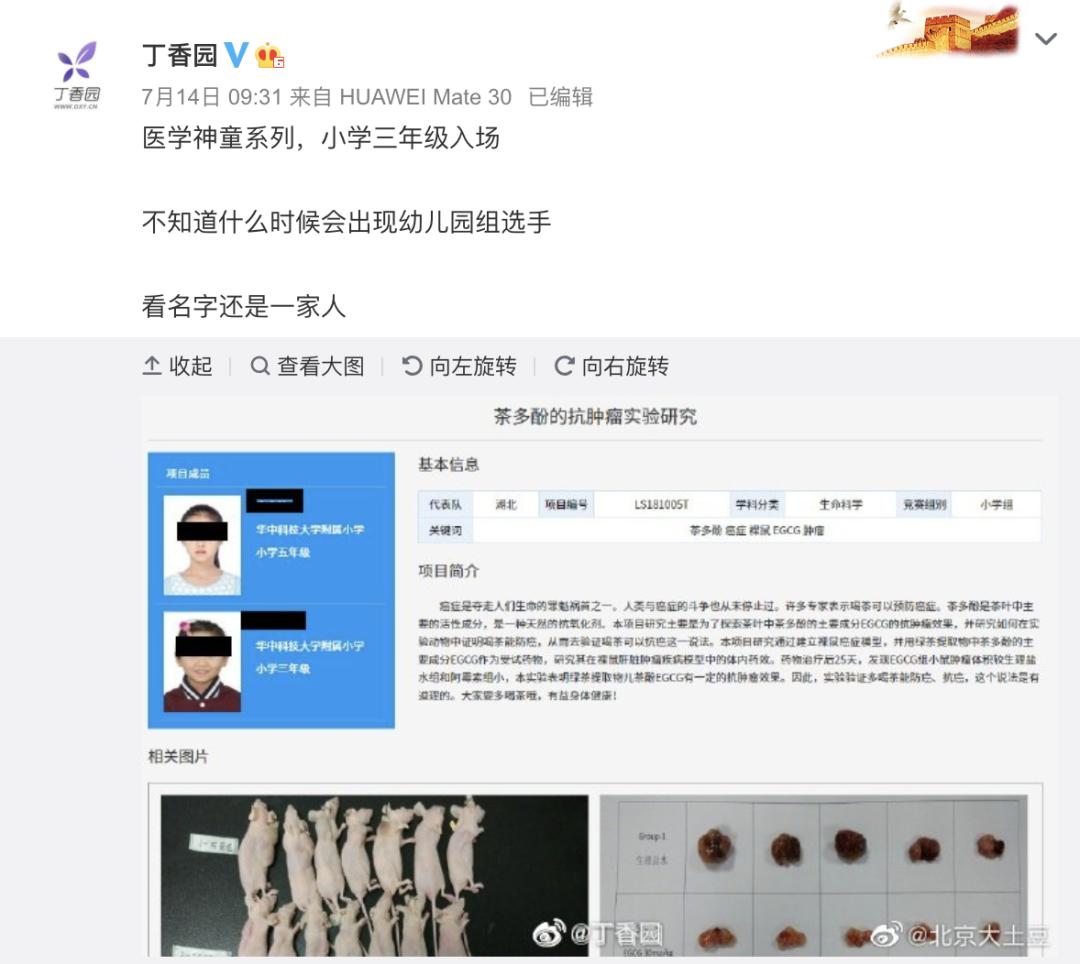 青少年科创大赛得奖,青少年科创大赛又一获奖作品