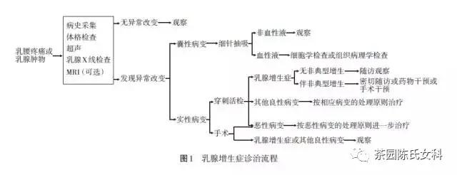 良性乳腺增生病，首选中医药治疗