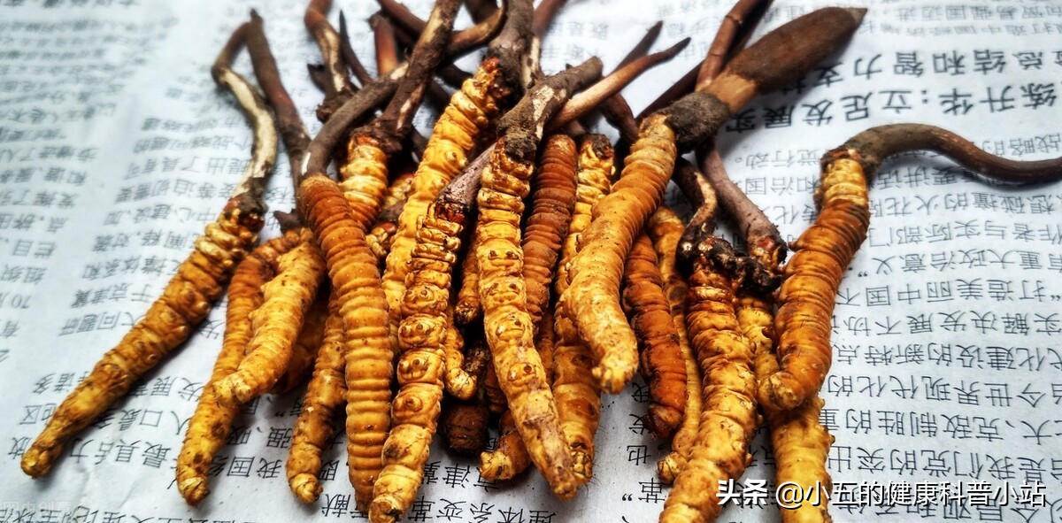 补肾养生中成药,补肾强身中成药有哪些