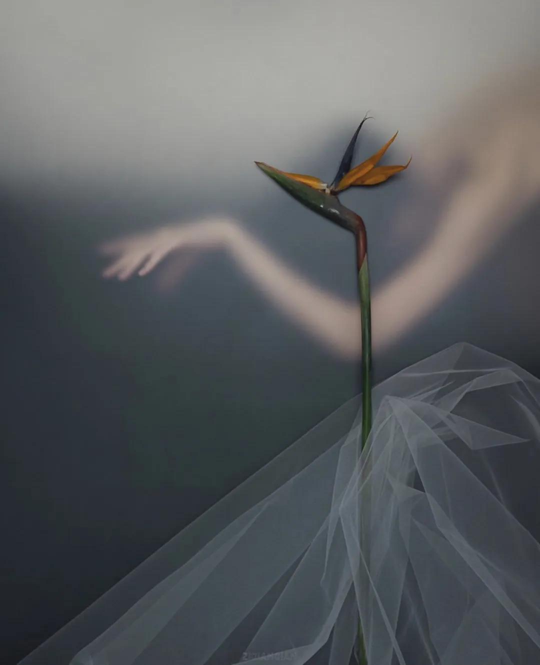 学摄影从零开始学,学摄影的经验