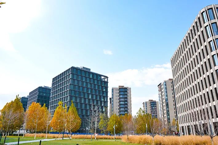 北京新开40个公园在哪里,北京十佳公园