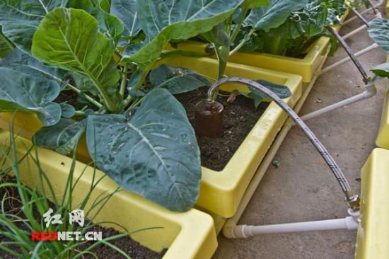 洗衣机洗衣水如何回收,滚筒洗衣机上水管回收