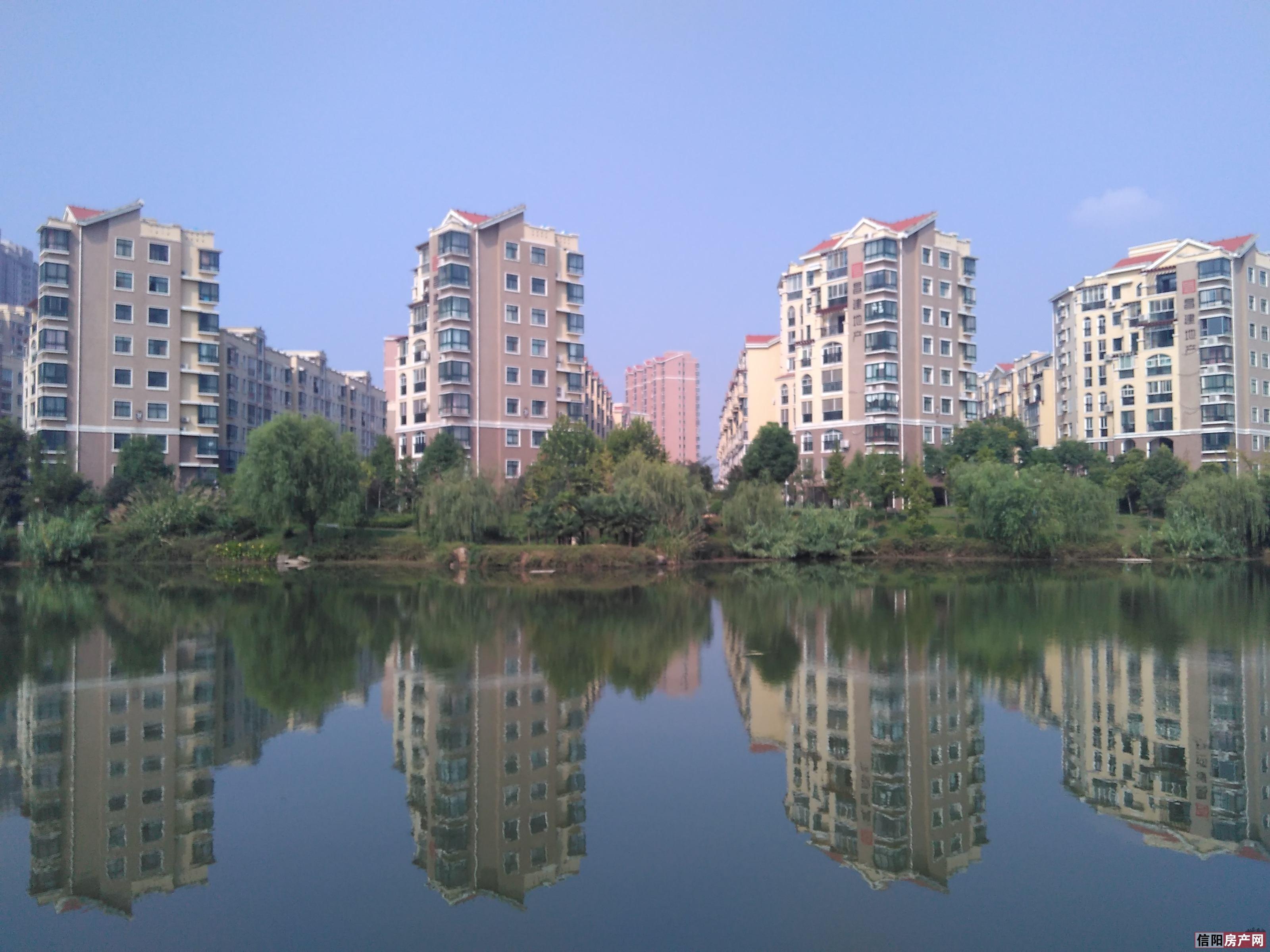 网友买房子视频,网友买房纪实全集