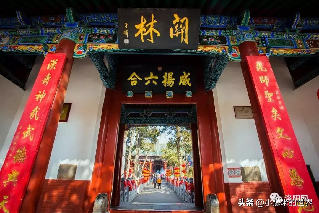 向洛阳人发出邀请国潮盛宴来袭,洛阳发布通知