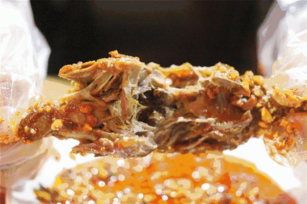 连成都人都赞不绝口的兔头空降安顺!这些兔兔还是安顺人自家养的