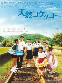 9部高分台剧推荐,高分日剧推荐9分以上解说