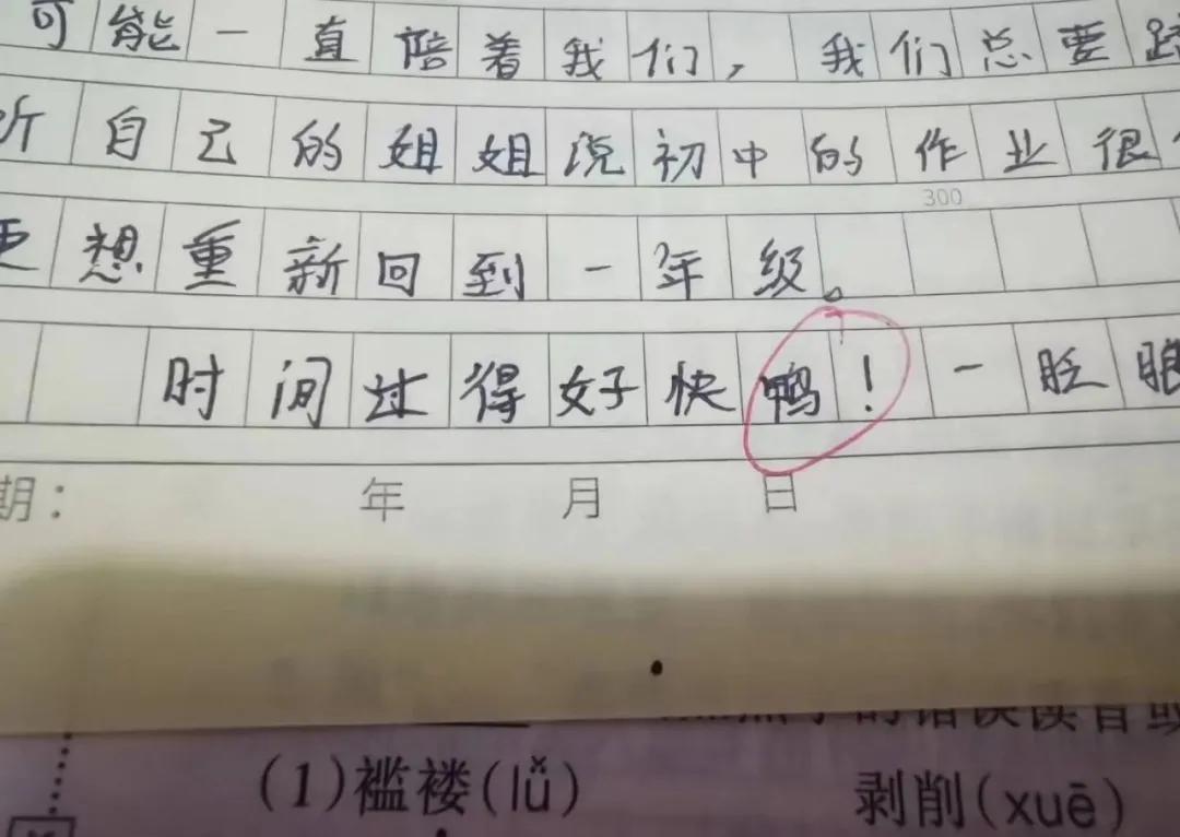 对yyds看法作文,用yyds写作文