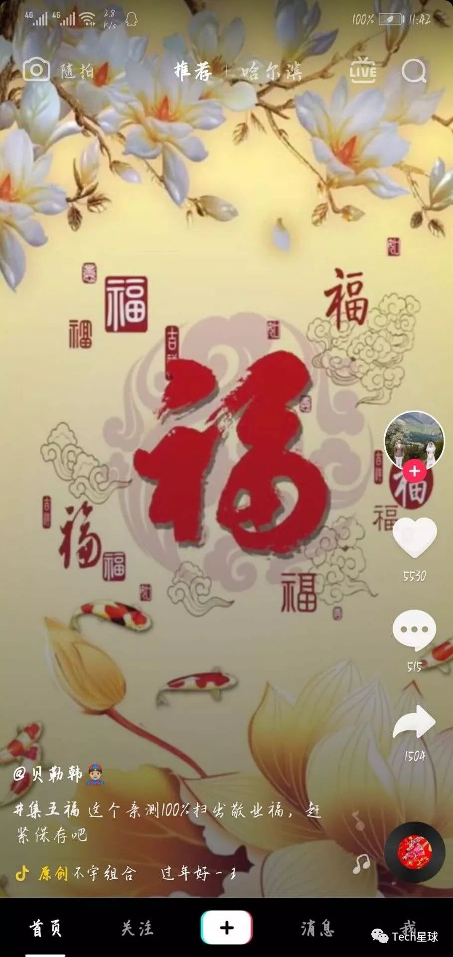 春节里如何正确地薅羊毛?看这一篇就够了