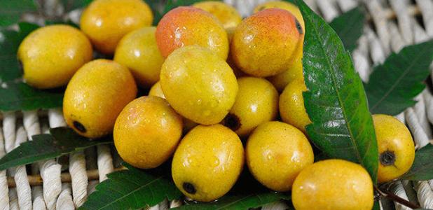 宋朝的词都有哪些,关于宋朝的词有哪些