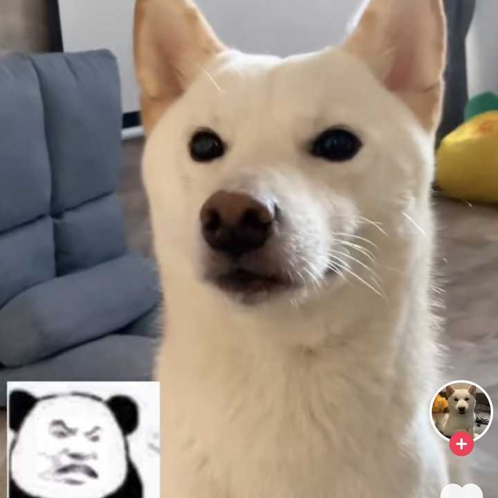 你们都在男朋友手机里发现了什么,你在你男朋友手机里发现过的秘密