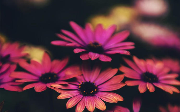 有一种爱叫做知己,有一种爱叫做知己伴侣