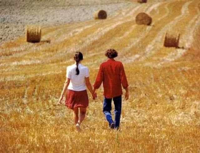 给大家推荐10部旅行电影,推荐115部不可错过的旅行电影