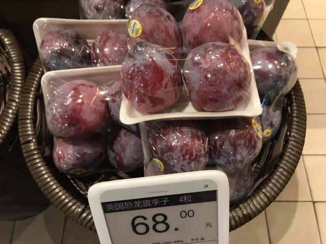 我们活在奇葩星球：皮卡丘是毛茸茸，恐龙蛋它不是蛋！