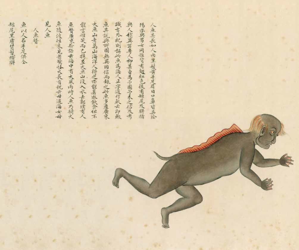 奇丑的人鱼图片,人鱼到底长什么样子