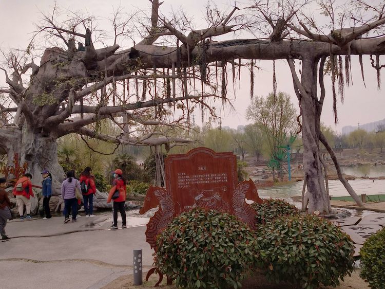 郑州园博园开放最新通知,园博园郑州门票最新信息