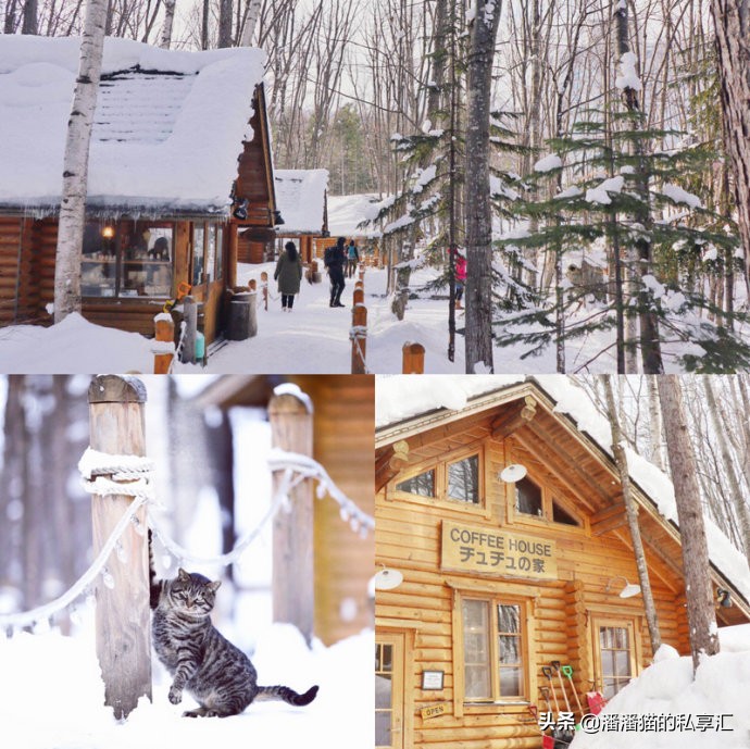 雪国和冰雪,雪国旅游