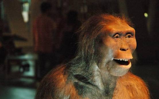 只有女人才能怀孕,只有女人会生孩子吗