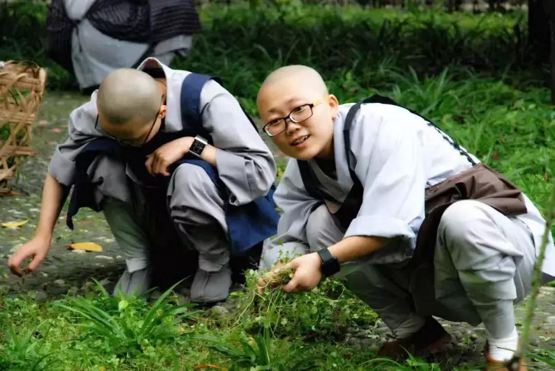 农禅并重的意义,农禅并重的寺院