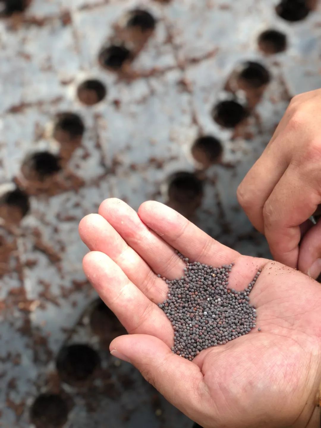 三亚高端酒店一线海景房推荐,三亚市区值得去住的别墅酒店