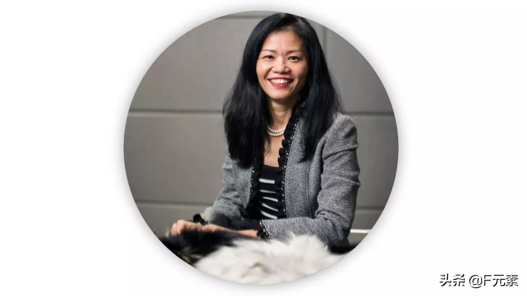 世家皮草,世家皮草再启航