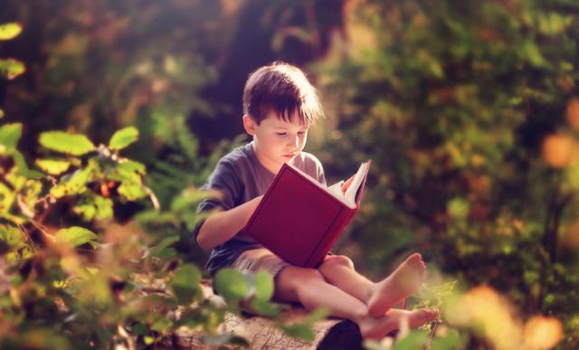 四年级语文期末备考第二单元,小学语文四年级上册综合检测卷六