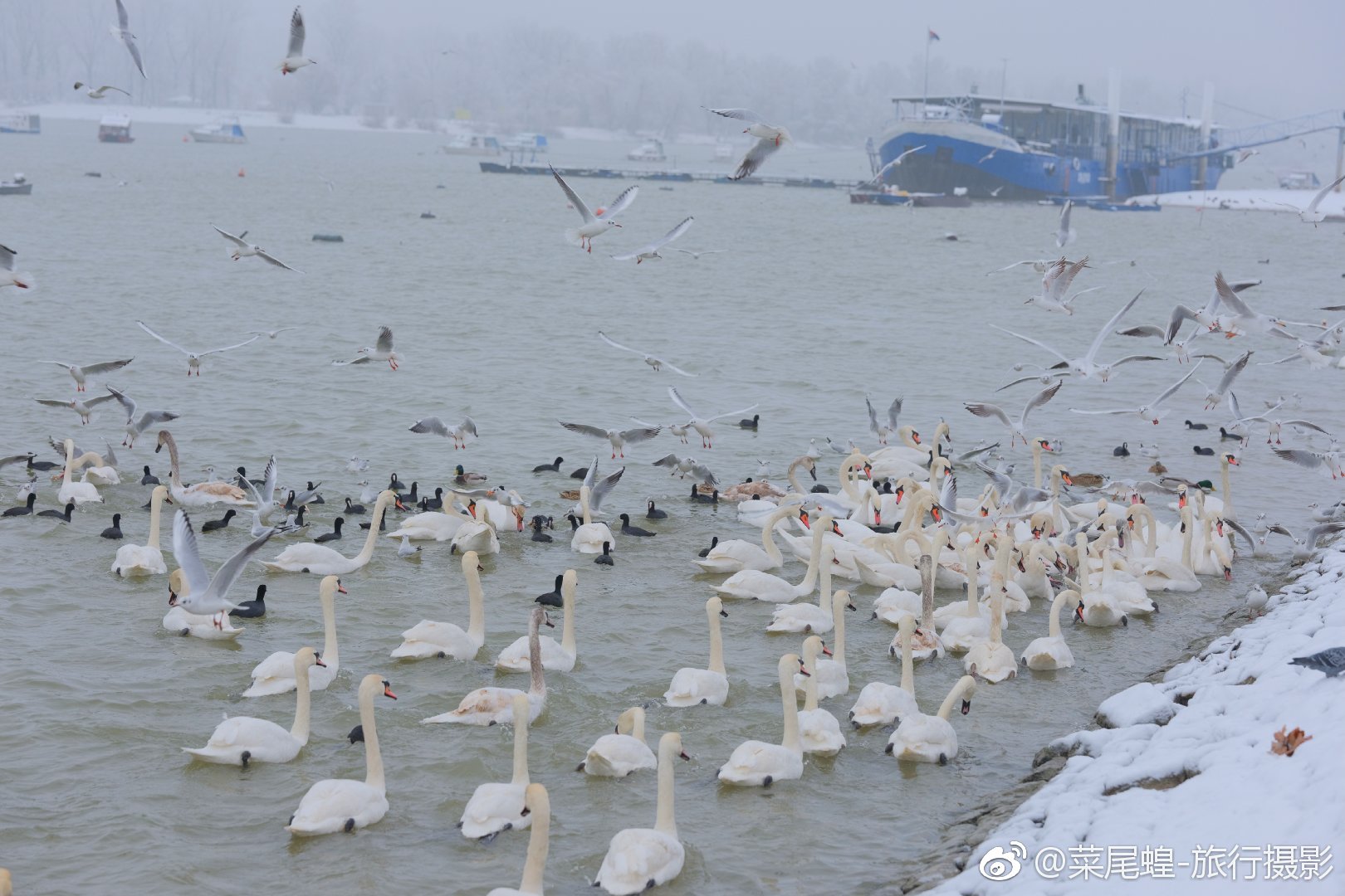 贝尔格莱德旅游免签,东欧冬天旅游攻略