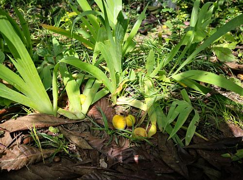 鑰佷汉鍏洯鐖爲鎽樻瀲鏉疯姘戣鍔濋樆,鍏洯鎽樻瀲鏉疯淇濆畨璁枼