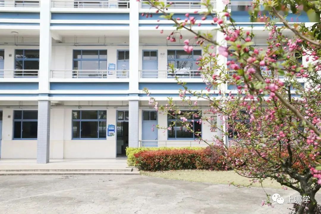 涓婃捣鏁欒偛璧勬簮澶х垎鍙戝尯,涓婃捣鏂板瀛︿綅