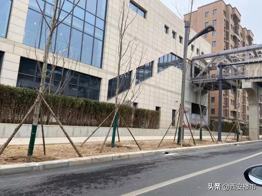 创新港现场考察,创新港真实照片