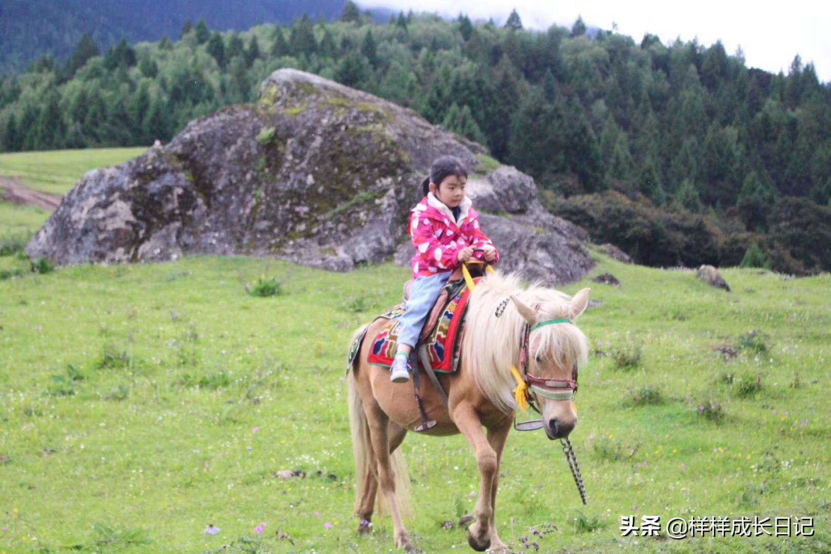 带着十几岁的女儿去西藏旅游,带着女儿西藏旅行