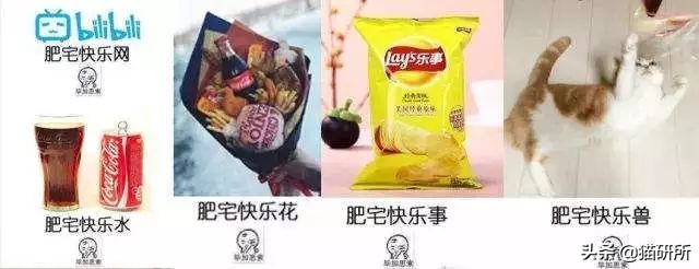 猫咪误食巧克力酱多久会中毒,猫咪不小心偷吃了一点点巧克力