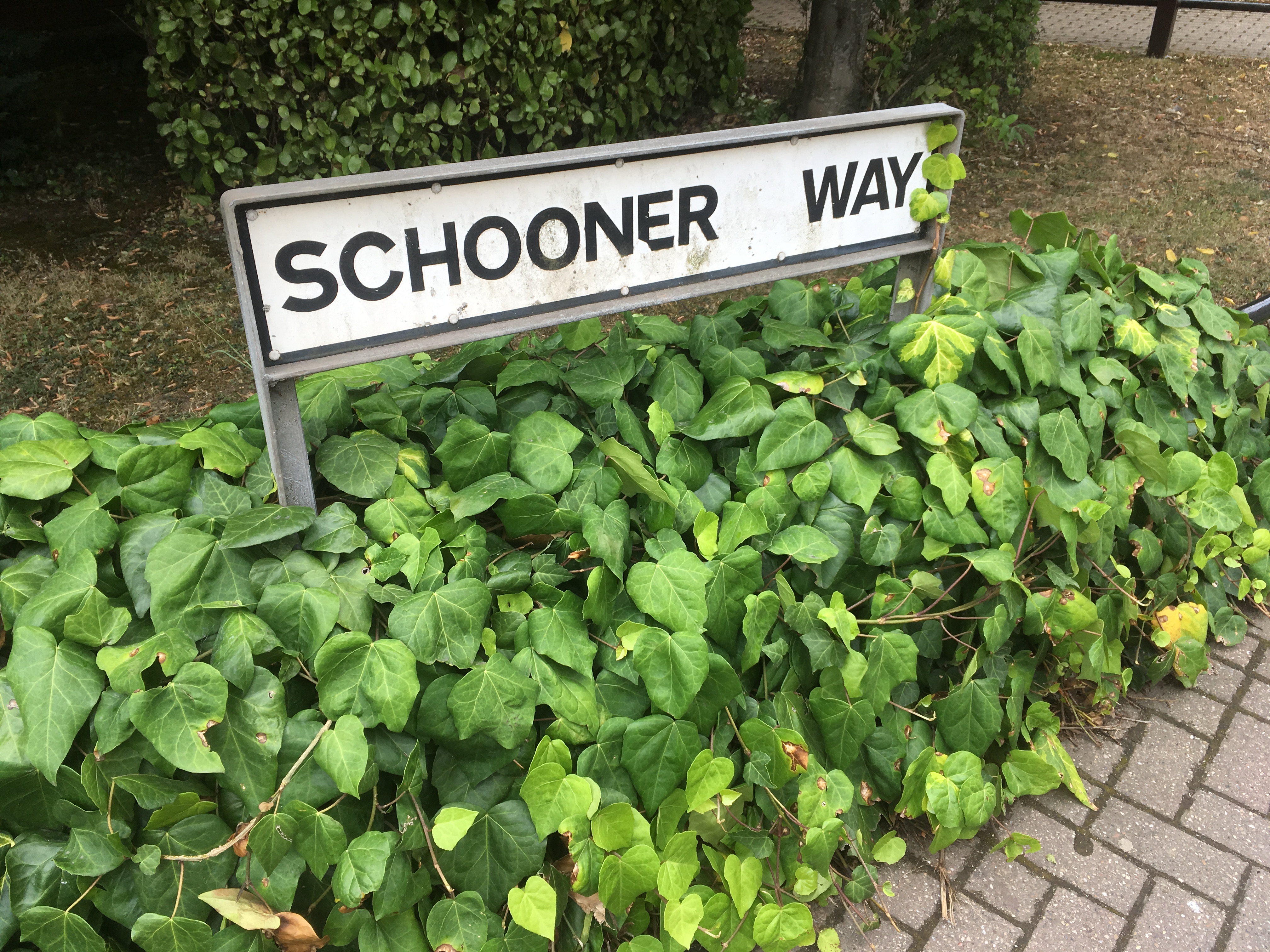 万水千山遇见你,万水千山与你相遇dj