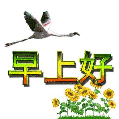 早安问候语正能量的短句和祝福语,吸引人的早安朋友圈早安文案带图