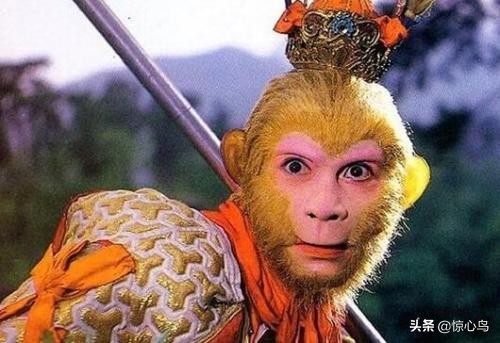 天竺国玉兔精是谁,天竺国玉兔精原文