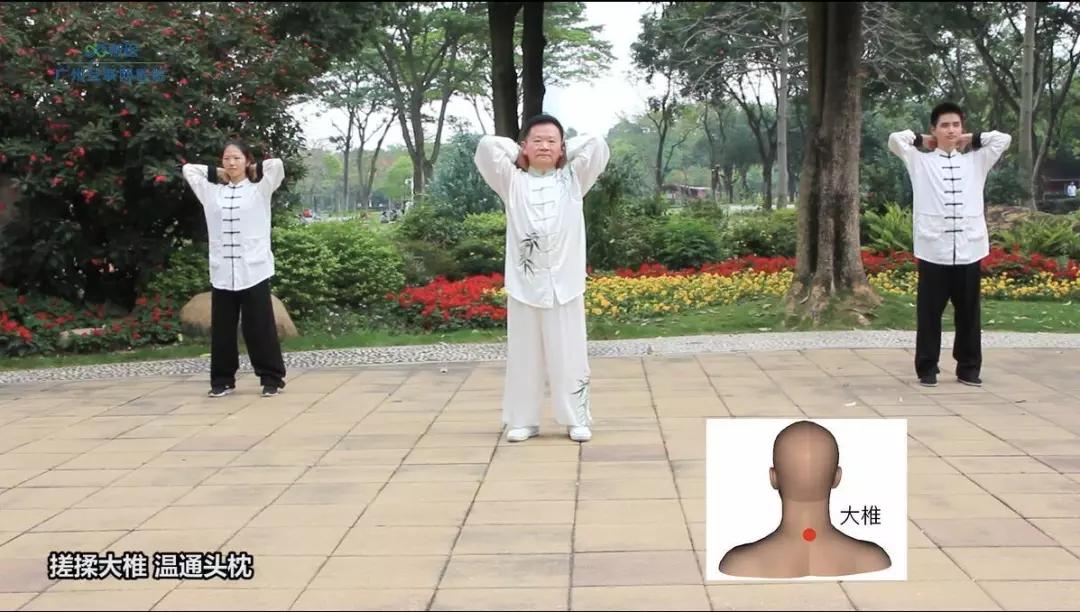 全国名老中医教你中药热敷视频,最简单的气血通络操